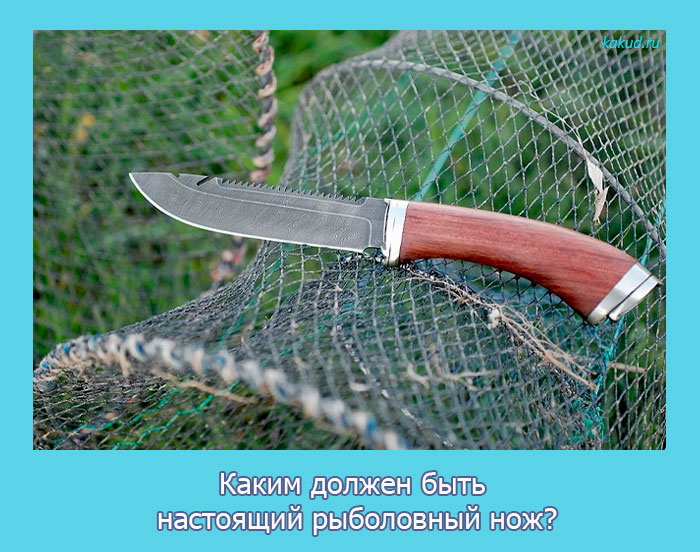 Каким должен быть настоящий рыболовный нож?