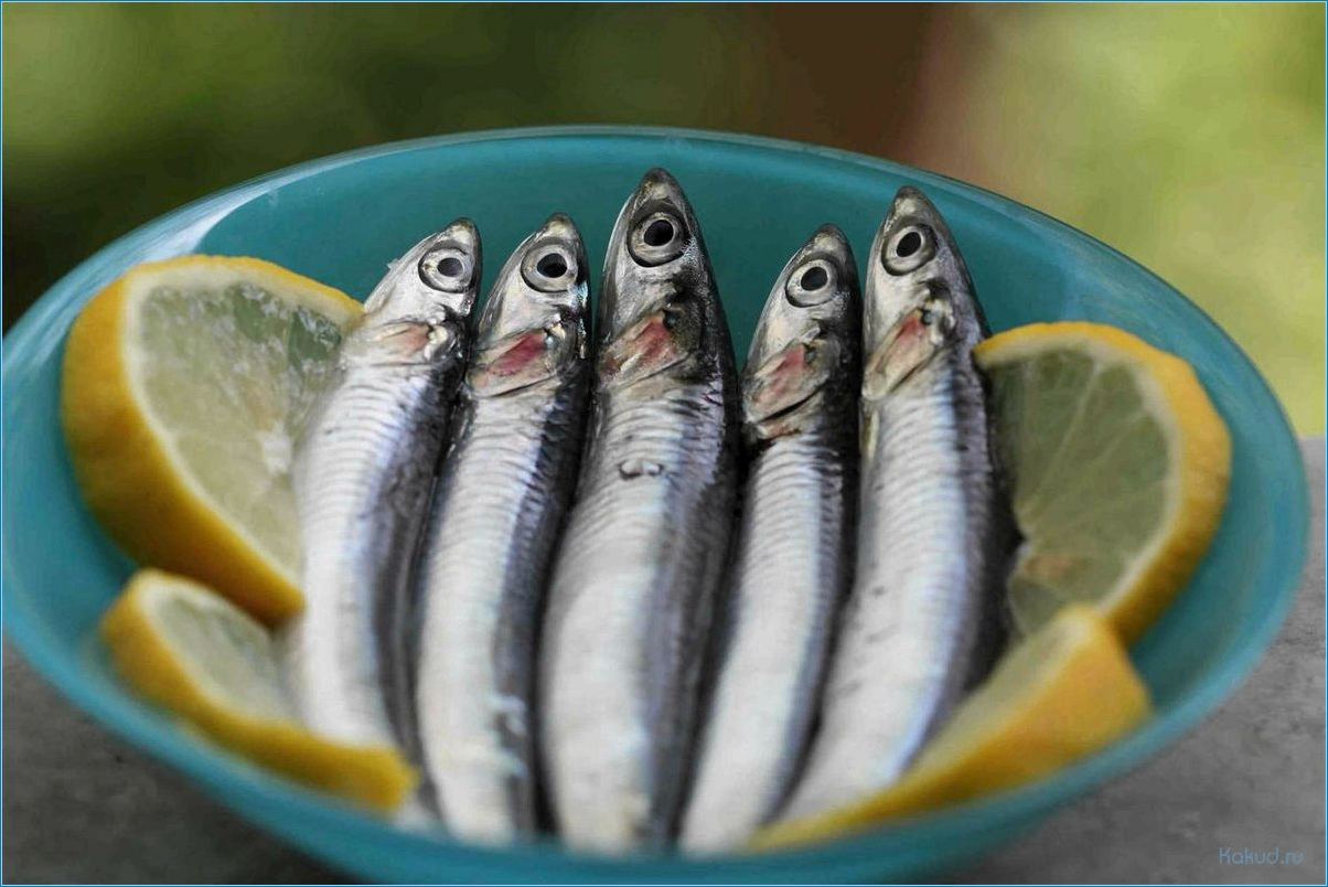 Рыба хамса — вкусное блюдо для всей семьи