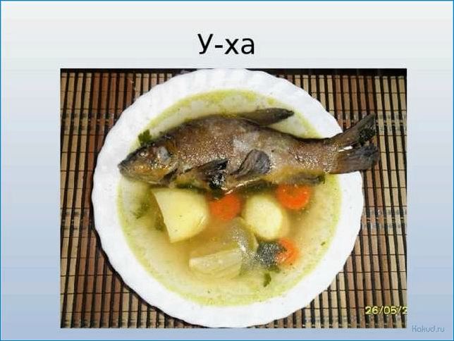 Рыбный суп из линя