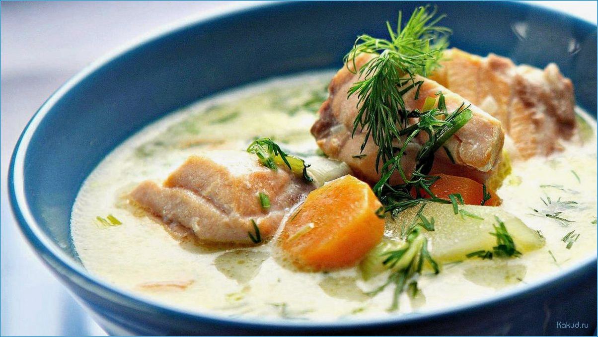 Мясной или рыбный суп: какой выбрать?