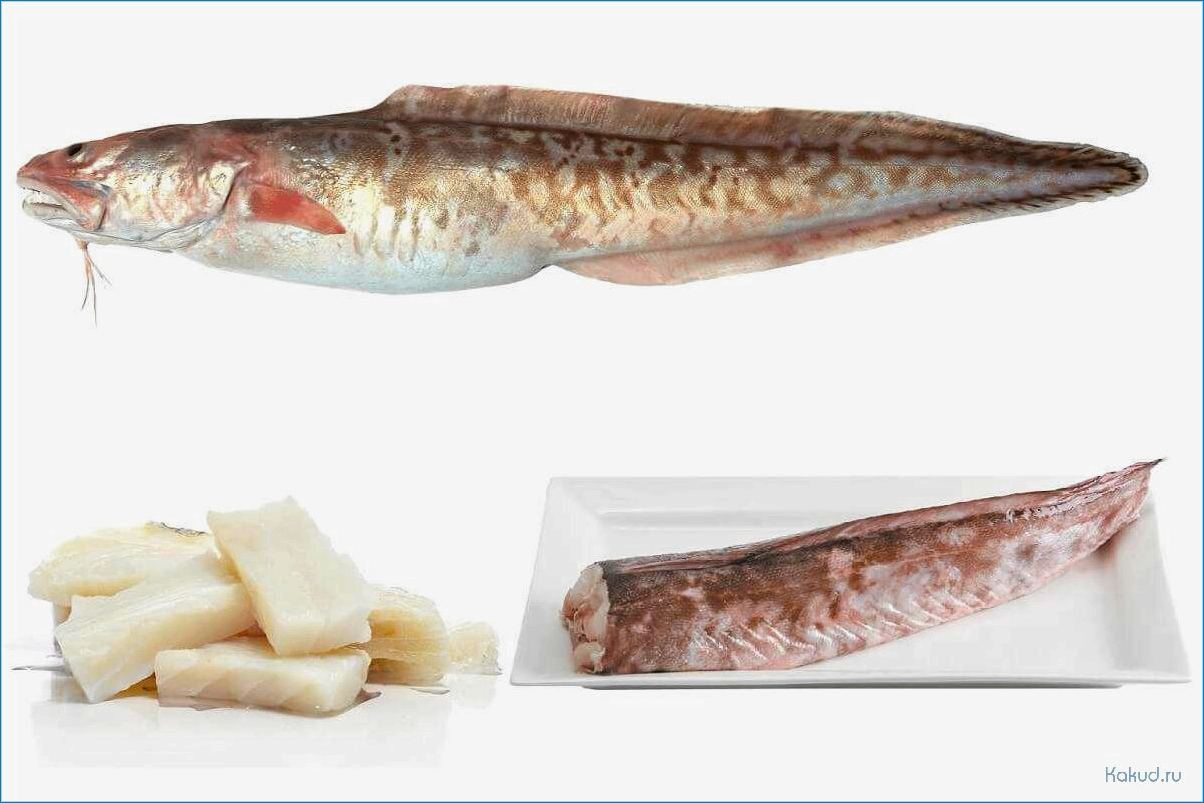 Разнообразные рецепты блюд из свежей рыбы конгрио для настоящих гурманов