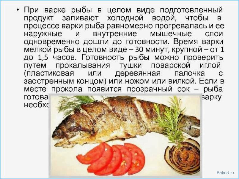 Блюда из рыбы: реферат