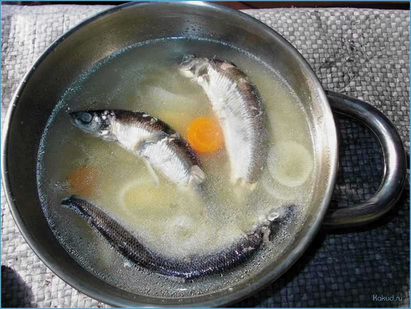 Как использовать рыбную мелочь для приготовления вкусной ухи