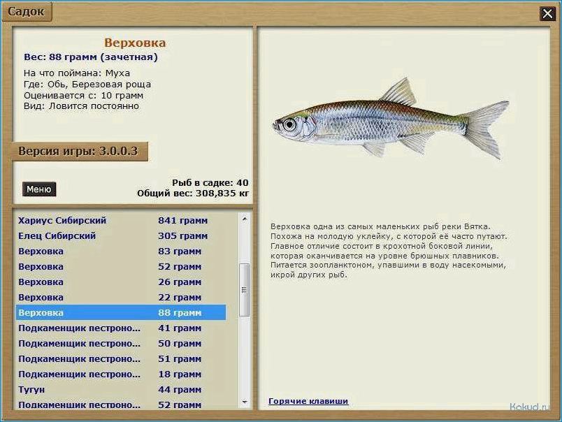 Какую рыбу можно ловить. Рыба в реке Вятка. Виды рыб в Вятке. На что клюет Верховка. Рыба в реке Вятка Кировской области.