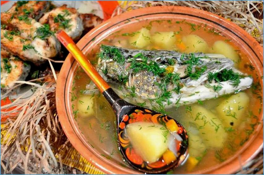 Рыбные сухие супы: лучшие рецепты и секреты приготовления
