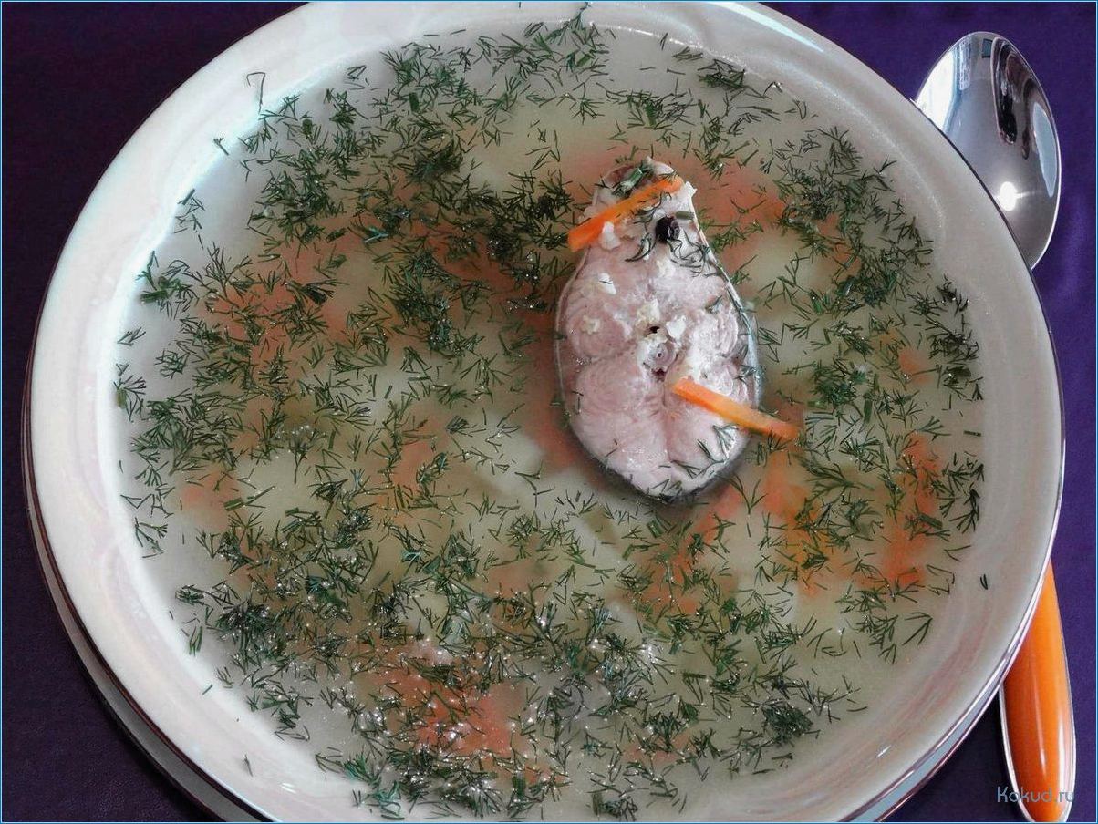 Как приготовить вкусный рыбный суп из свежего стейка