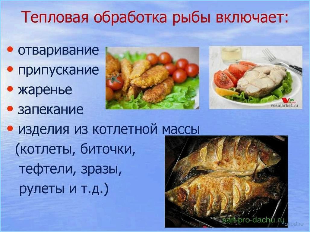 Кулинарные рецепты: приготовление дипломатического блюда из свежей рыбы