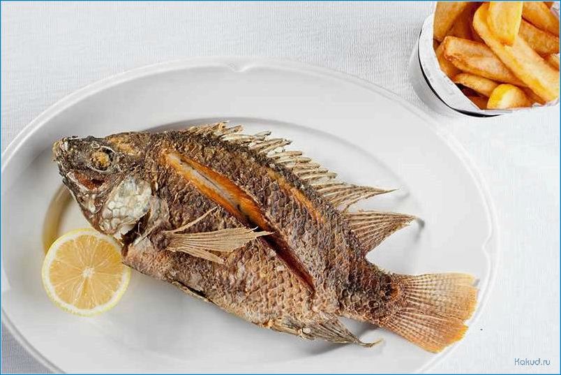 Рыба телапия: вкусные блюда и рецепты