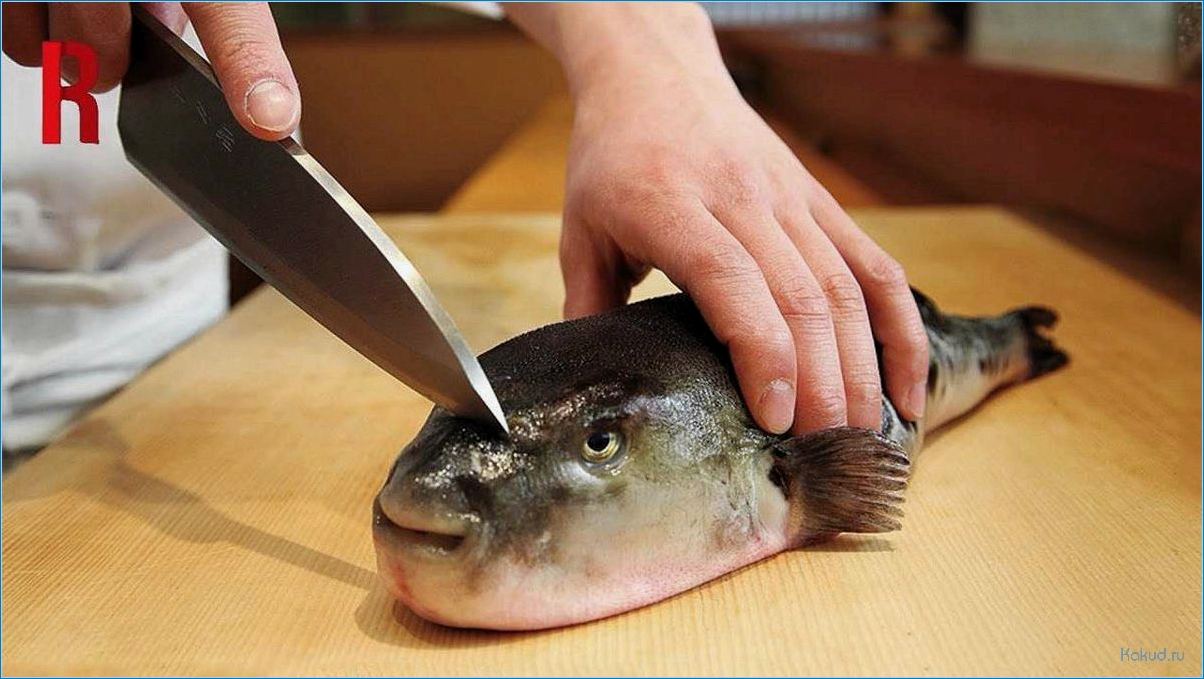Приготовление блюда с экзотической рыбой фугу — рецепты и советы