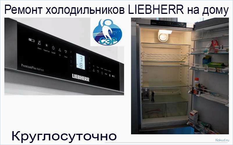 Официальный сервисный центр холодильников Liebherr