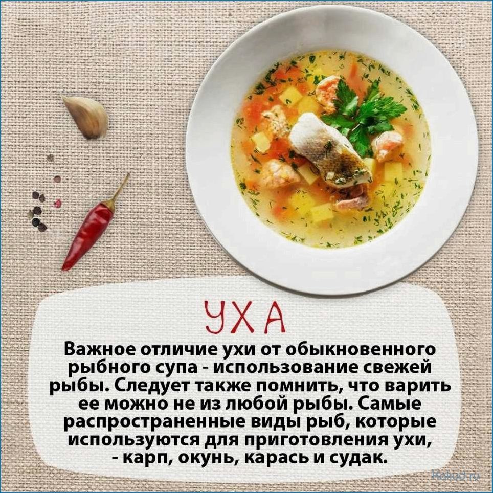 Лучшие рыбные супы: список рецептов и секреты приготовления