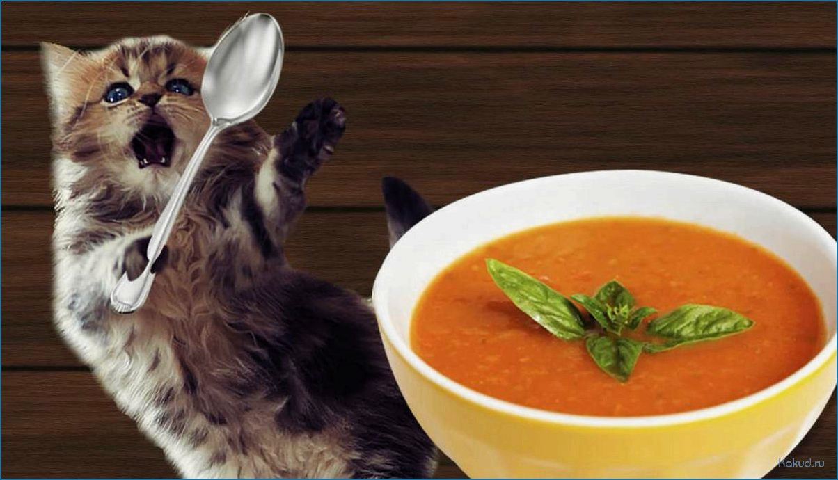 Как приготовить вкусный рыбный суп для вашего кота: рецепты и полезные советы