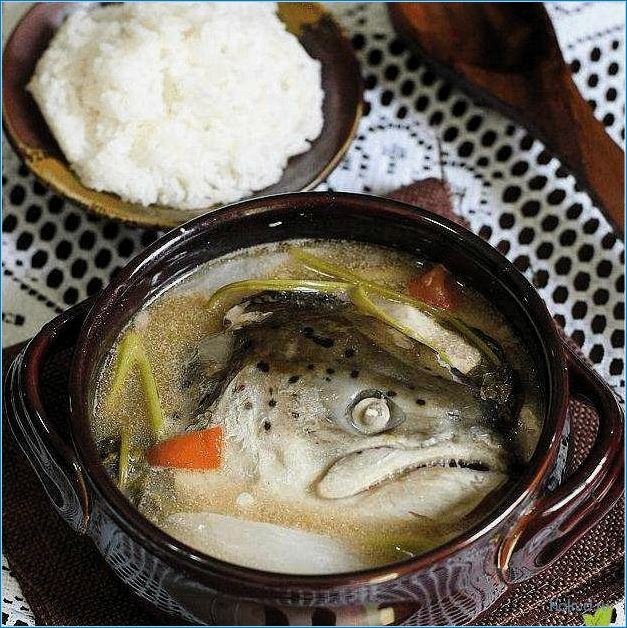 Уха — традиционный рыбный суп: рецепты и секреты приготовления