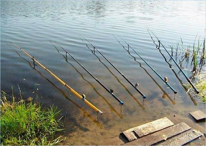 Маховая удочка — особенности выбора и использования в рыболовстве