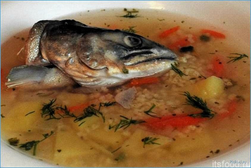 Рыбный суп жабры