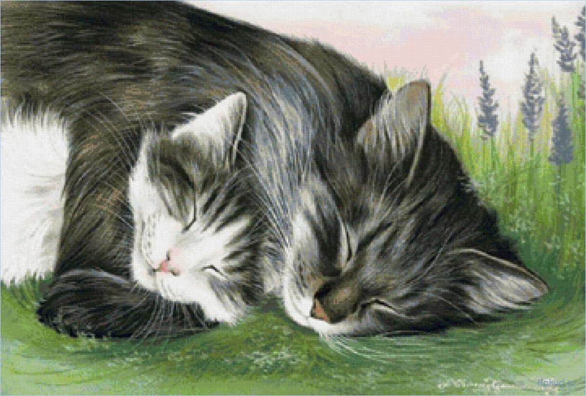 Красивые и милые рисунки котов и кошек для срисовки — научись рисовать пушистых питомцев с легкостью!