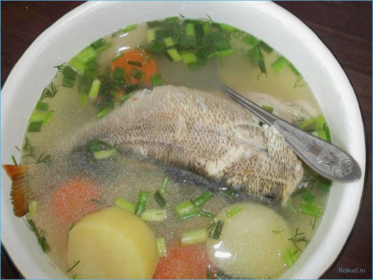 Как приготовить вкусный рыбный суп из дорадо: лучшие рецепты и советы