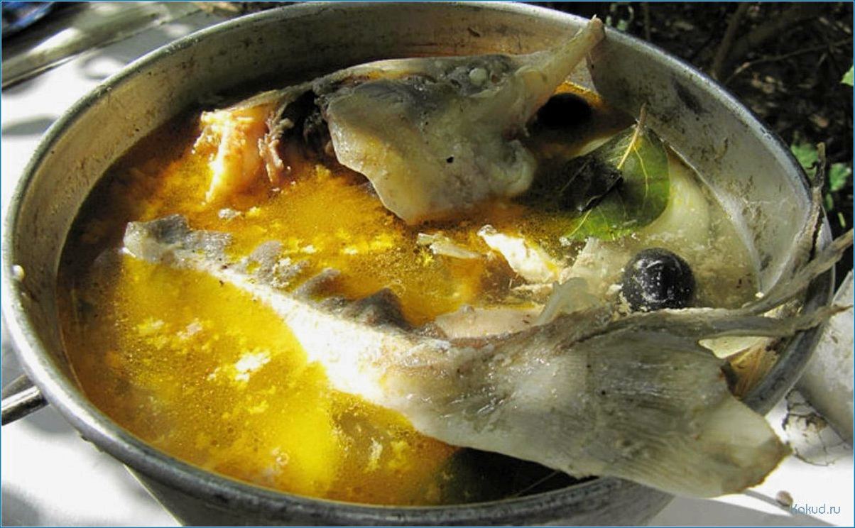 Готовим аппетитный рыбный суп из свежего тайменя